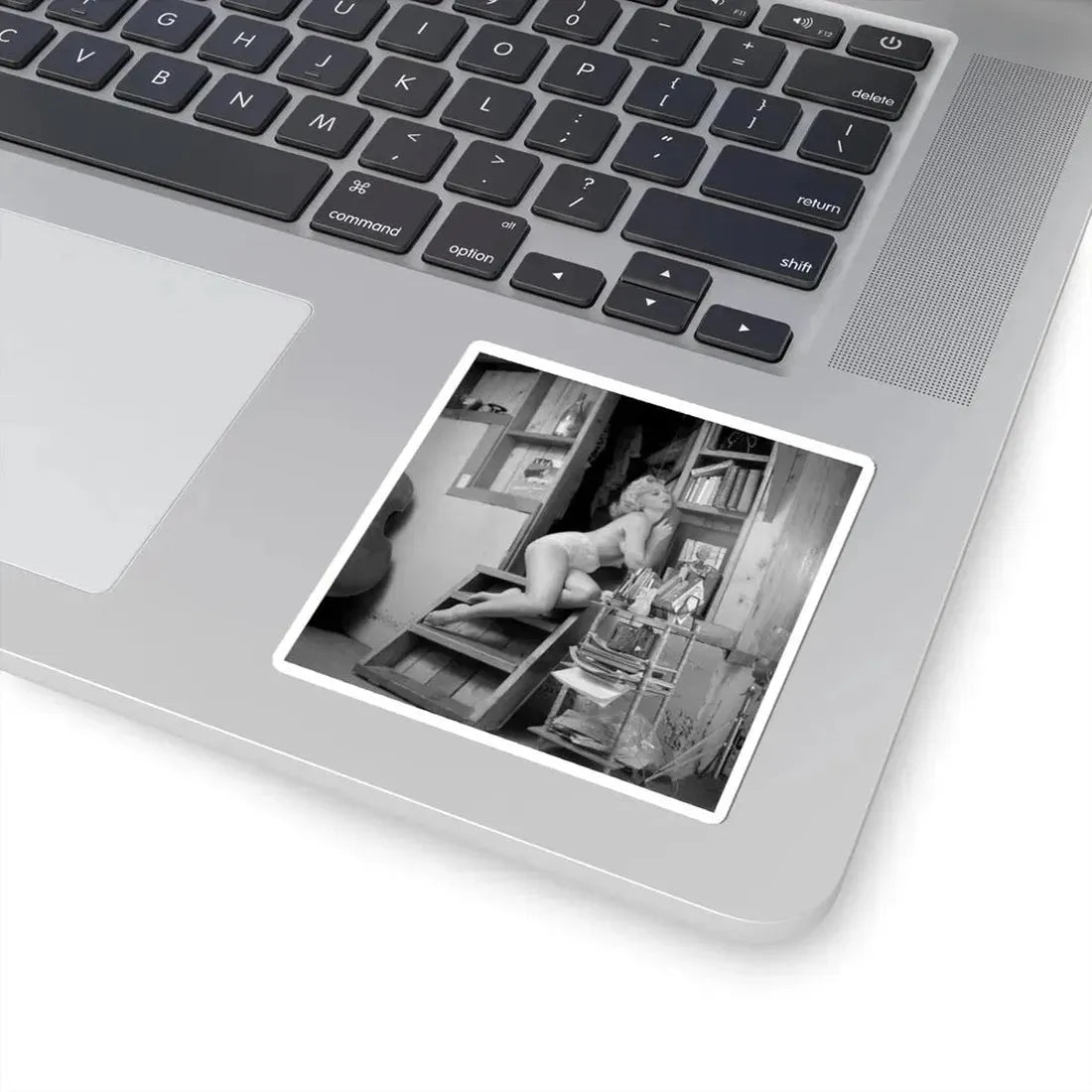 Yvette Vickers #95 (Vintage Female Icon) STICKER Vinyl Kiss-Cut Decal - The Sticker Space