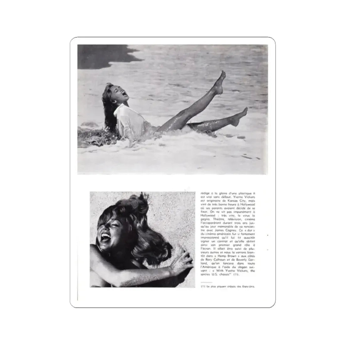 Yvette Vickers #97 (Vintage Female Icon) STICKER Vinyl Kiss-Cut Decal 2 Inch White - The Sticker Space