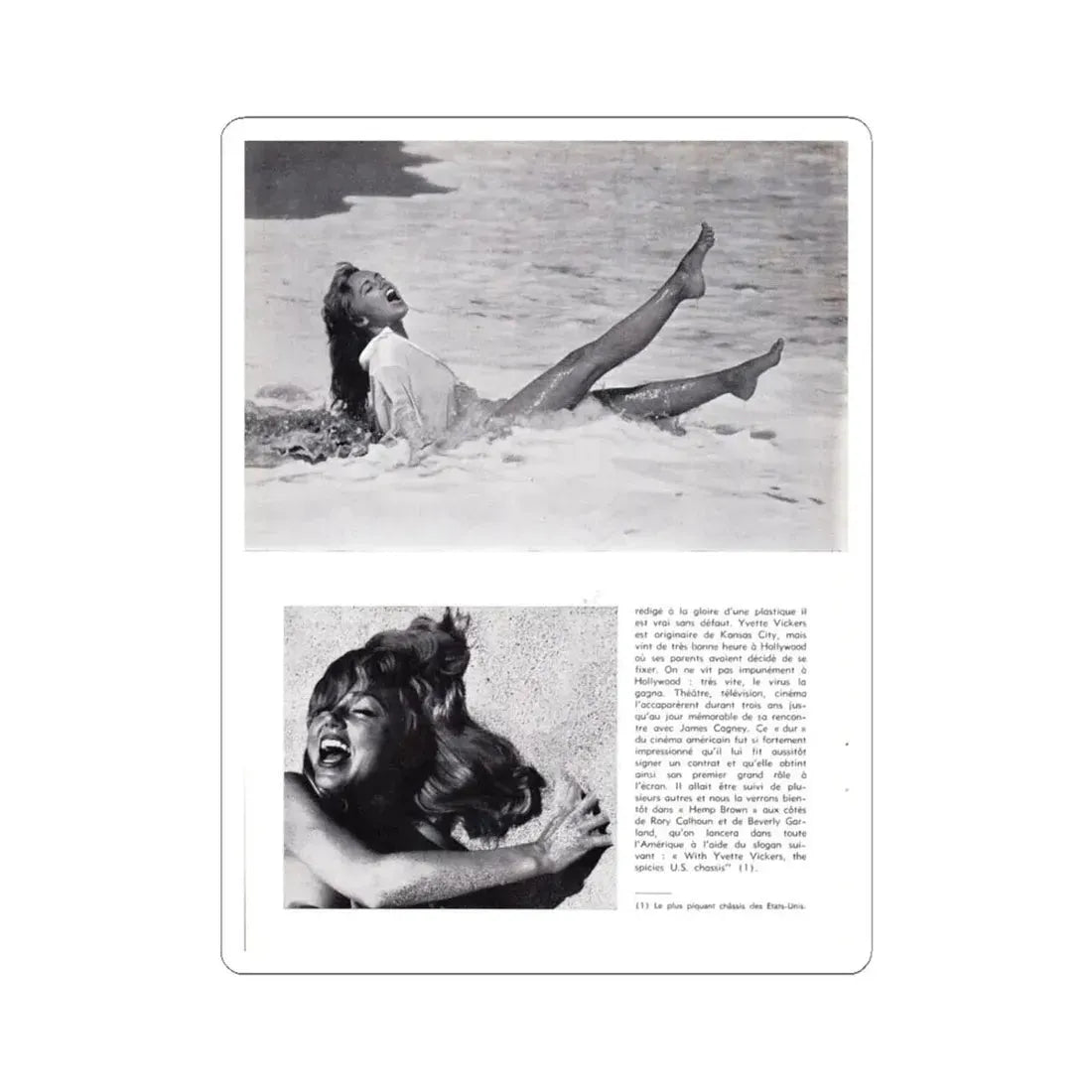 Yvette Vickers #97 (Vintage Female Icon) STICKER Vinyl Kiss-Cut Decal 6 Inch White - The Sticker Space