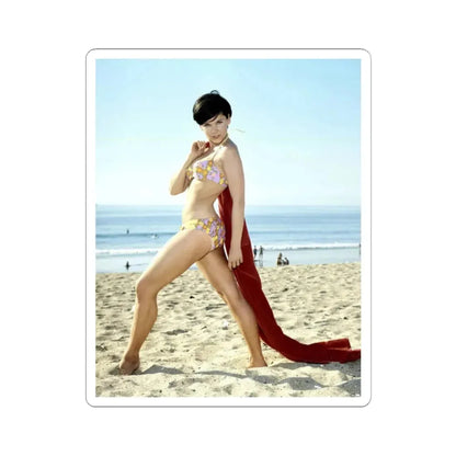 Yvonne Craig #100 (Vintage Female Icon) STICKER Vinyl Kiss-Cut Decal 2 Inch White - The Sticker Space