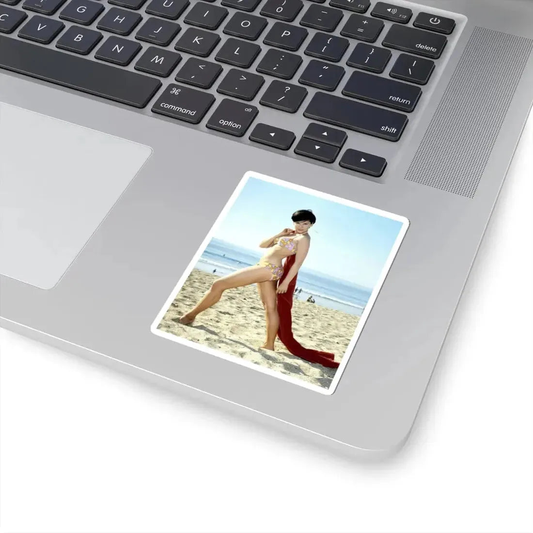 Yvonne Craig #100 (Vintage Female Icon) STICKER Vinyl Kiss-Cut Decal - The Sticker Space