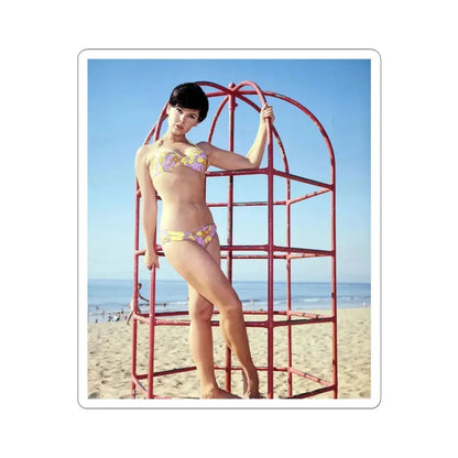 Yvonne Craig #110 (Vintage Female Icon) STICKER Vinyl Kiss-Cut Decal 3 Inch White - The Sticker Space