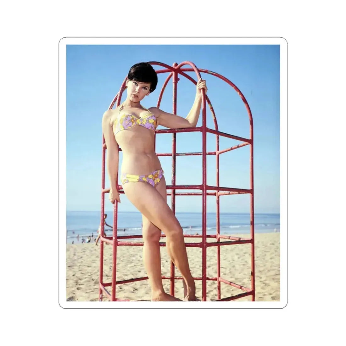 Yvonne Craig #110 (Vintage Female Icon) STICKER Vinyl Kiss-Cut Decal 6 Inch White - The Sticker Space