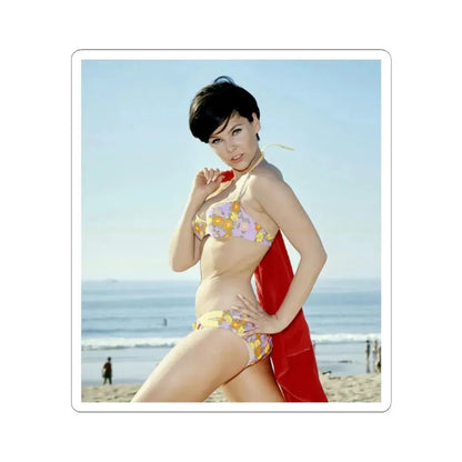 Yvonne Craig #126 (Vintage Female Icon) STICKER Vinyl Kiss-Cut Decal 3 Inch White - The Sticker Space