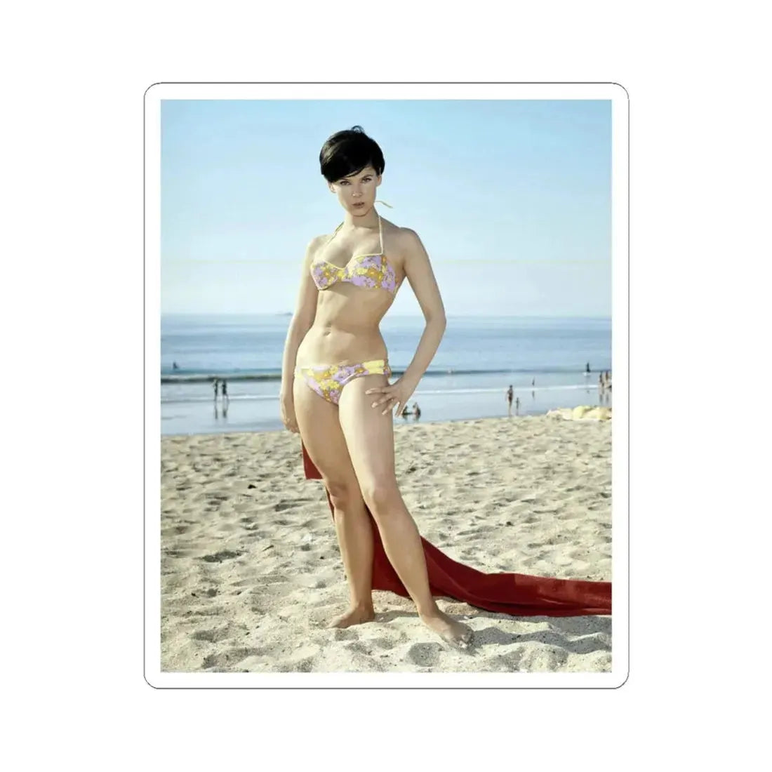 Yvonne Craig #137 (Vintage Female Icon) STICKER Vinyl Kiss-Cut Decal 4 Inch White - The Sticker Space