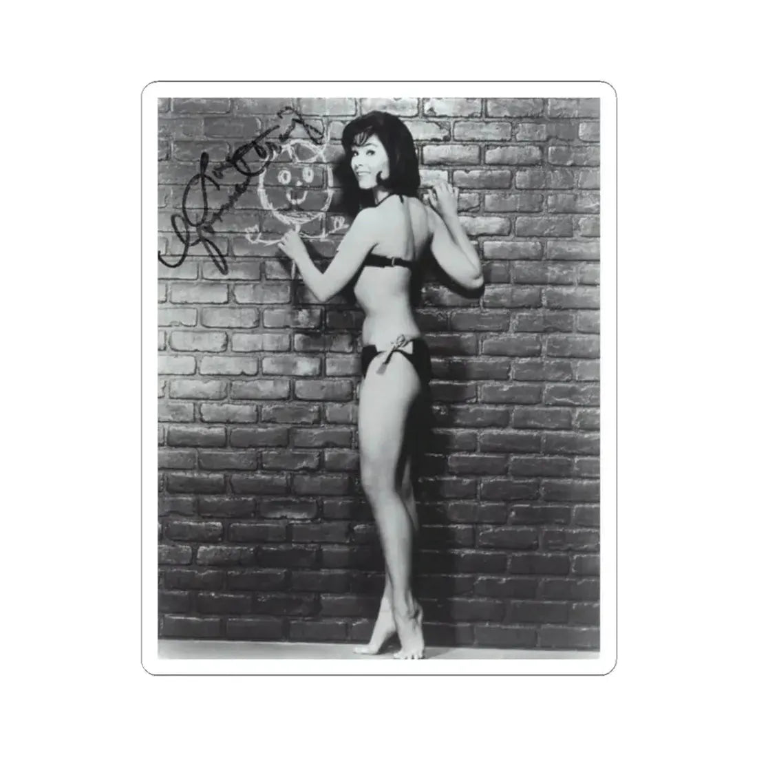 Yvonne Craig #20 (Vintage Female Icon) STICKER Vinyl Kiss-Cut Decal 2 Inch White - The Sticker Space