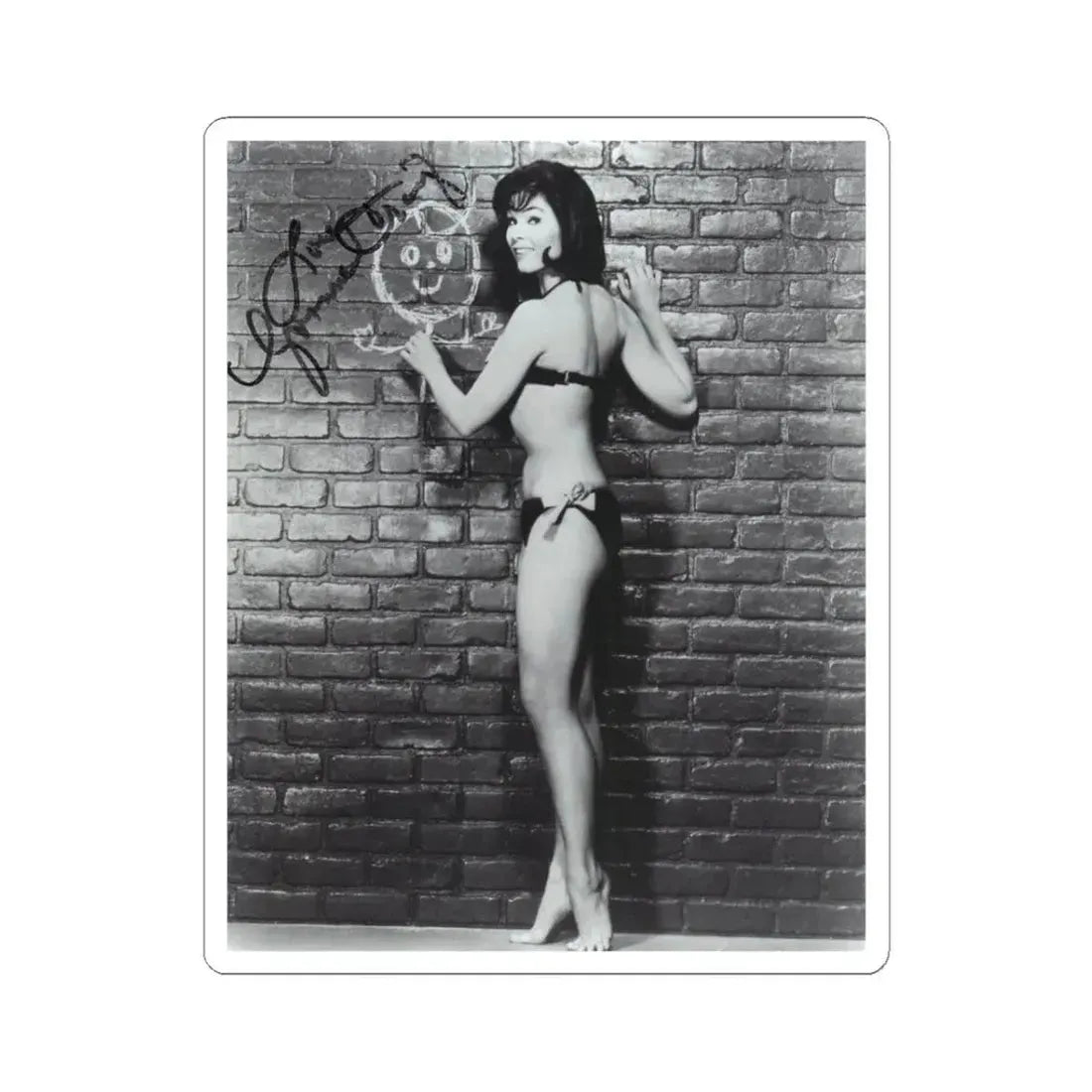 Yvonne Craig #20 (Vintage Female Icon) STICKER Vinyl Kiss-Cut Decal 3 Inch White - The Sticker Space