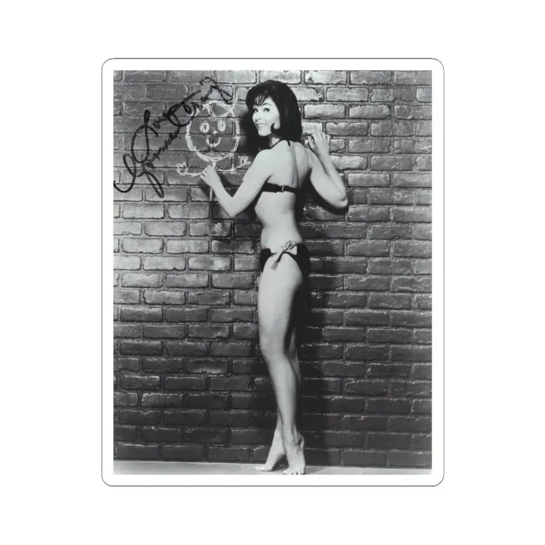 Yvonne Craig #20 (Vintage Female Icon) STICKER Vinyl Kiss-Cut Decal 4 Inch White - The Sticker Space