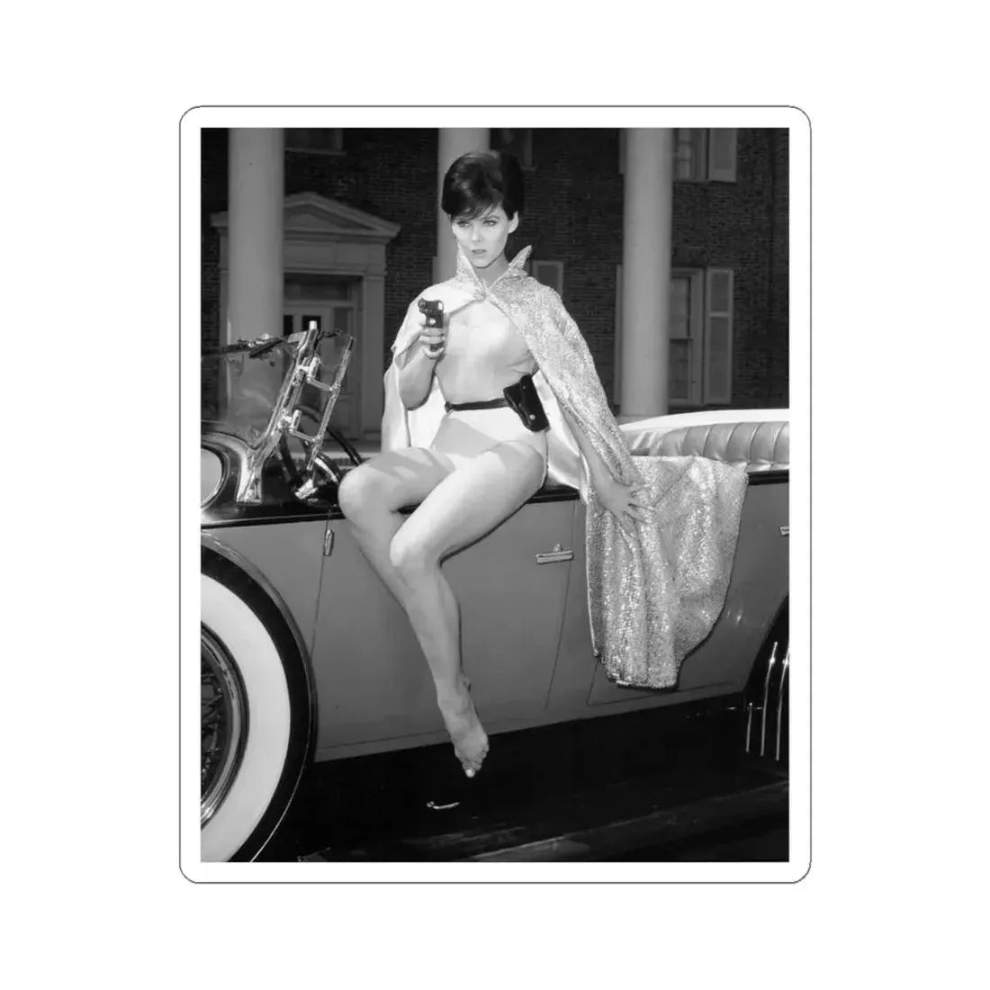 Yvonne Craig #21 (Vintage Female Icon) STICKER Vinyl Kiss-Cut Decal 4 Inch White - The Sticker Space