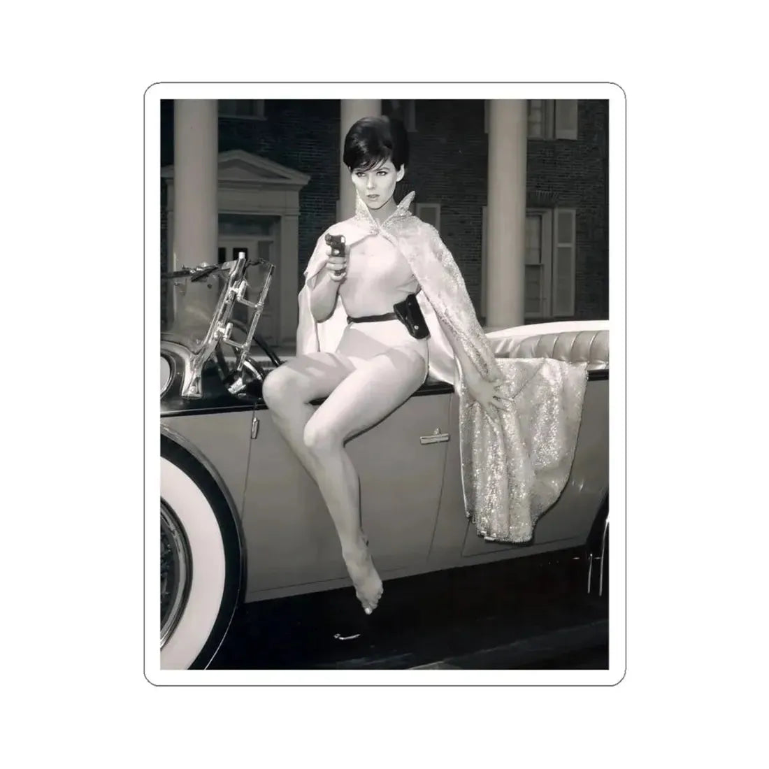 Yvonne Craig #212 (Vintage Female Icon) STICKER Vinyl Kiss-Cut Decal 6 Inch White - The Sticker Space
