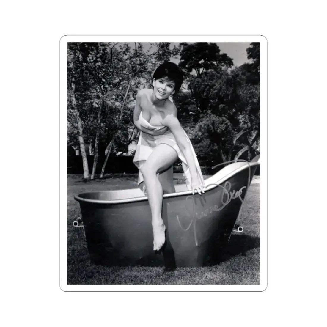 Yvonne Craig #242 (Vintage Female Icon) STICKER Vinyl Kiss-Cut Decal 2 Inch White - The Sticker Space