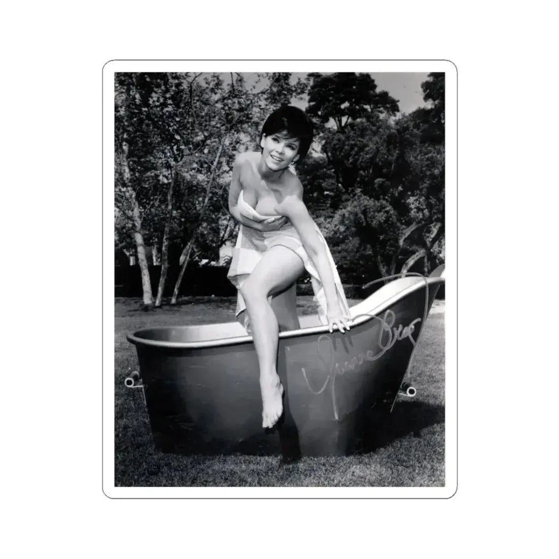 Yvonne Craig #242 (Vintage Female Icon) STICKER Vinyl Kiss-Cut Decal 3 Inch White - The Sticker Space