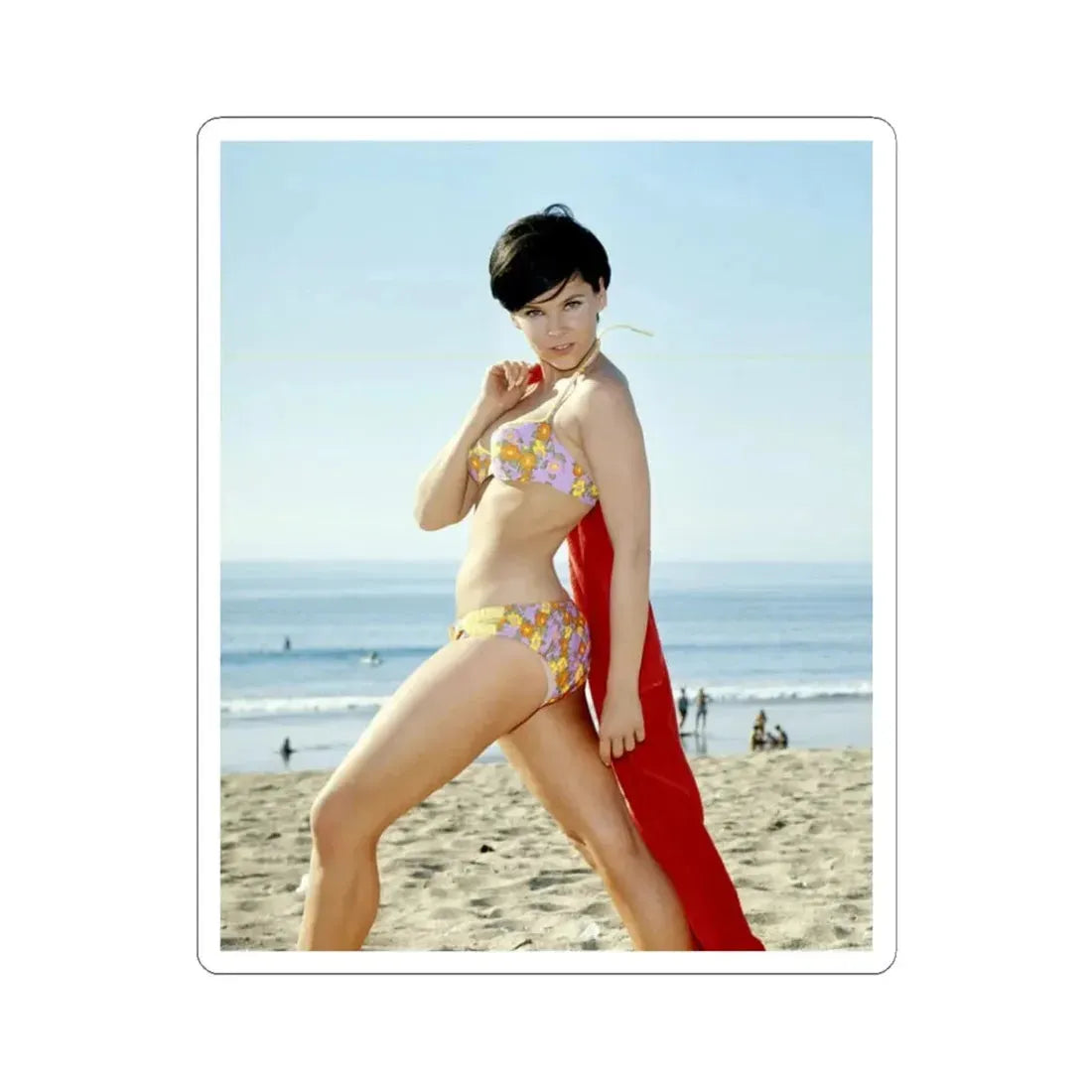 Yvonne Craig #254 (Vintage Female Icon) STICKER Vinyl Kiss-Cut Decal 3 Inch White - The Sticker Space