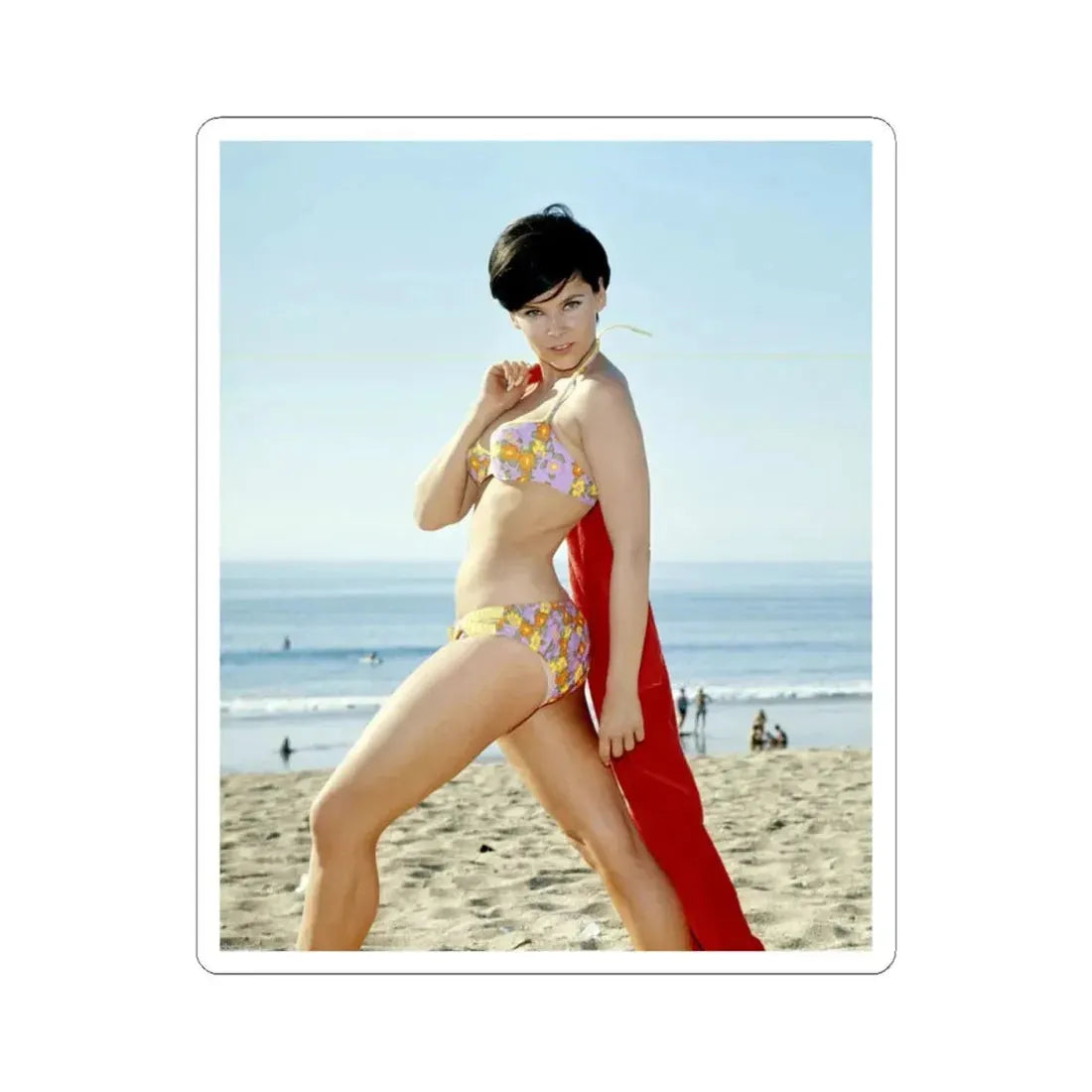 Yvonne Craig #254 (Vintage Female Icon) STICKER Vinyl Kiss-Cut Decal 4 Inch White - The Sticker Space