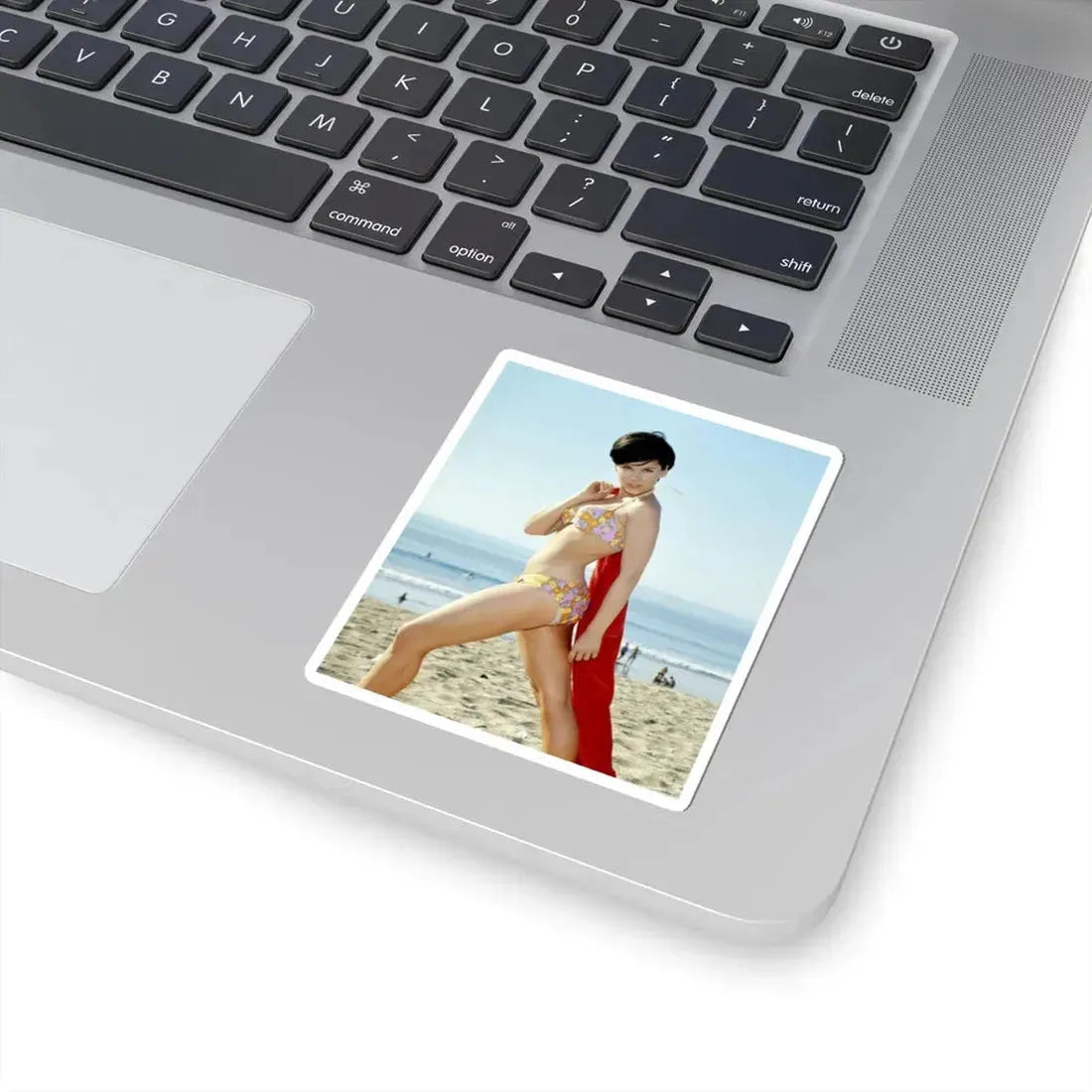 Yvonne Craig #254 (Vintage Female Icon) STICKER Vinyl Kiss-Cut Decal - The Sticker Space