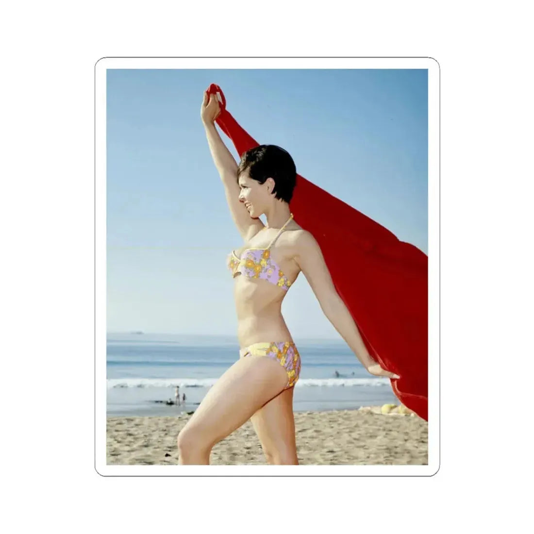 Yvonne Craig #255 (Vintage Female Icon) STICKER Vinyl Kiss-Cut Decal 3 Inch White - The Sticker Space