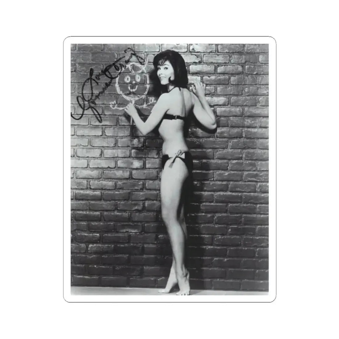 Yvonne Craig #263 (Vintage Female Icon) STICKER Vinyl Kiss-Cut Decal 2 Inch White - The Sticker Space