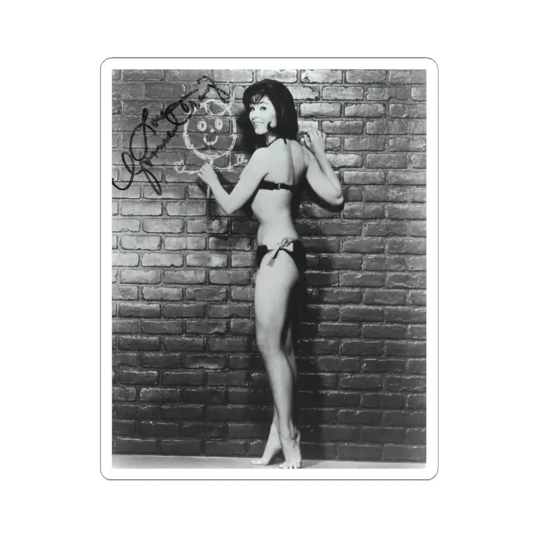 Yvonne Craig #263 (Vintage Female Icon) STICKER Vinyl Kiss-Cut Decal 4 Inch White - The Sticker Space