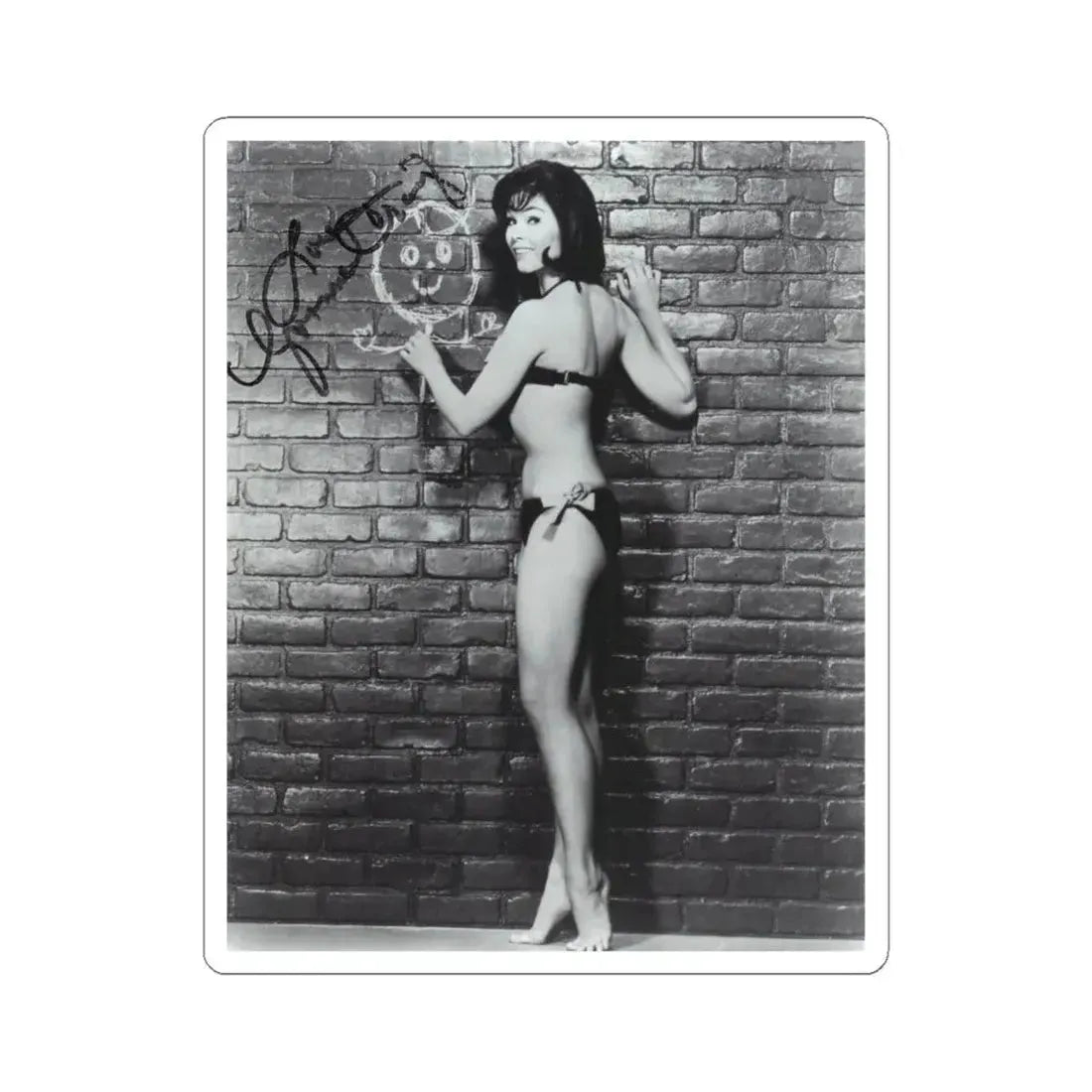 Yvonne Craig #263 (Vintage Female Icon) STICKER Vinyl Kiss-Cut Decal 6 Inch White - The Sticker Space