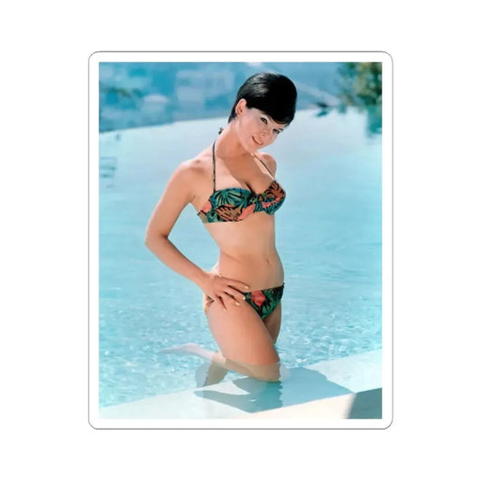 Yvonne Craig #82 - 8x10 Color 2-Piece Hawaiian Bikini Pin-Up Photo from 60's 2 (Vintage Female Icon) STICKER Vinyl Kiss-Cut Decal 2 Inch White - The Sticker Space