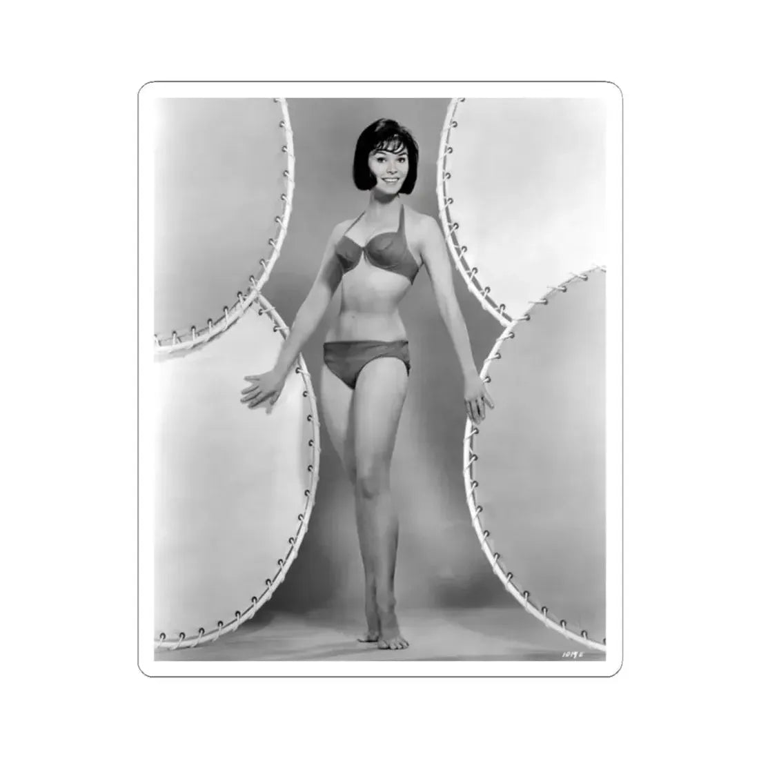 Yvonne Craig #841 (Vintage Female Icon) STICKER Vinyl Kiss-Cut Decal 2 Inch White - The Sticker Space