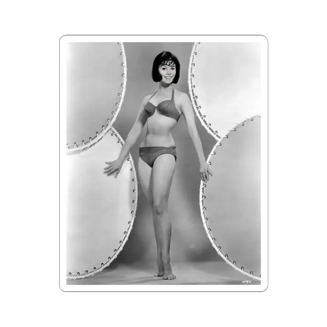 Yvonne Craig #841 (Vintage Female Icon) STICKER Vinyl Kiss-Cut Decal 6 Inch White - The Sticker Space