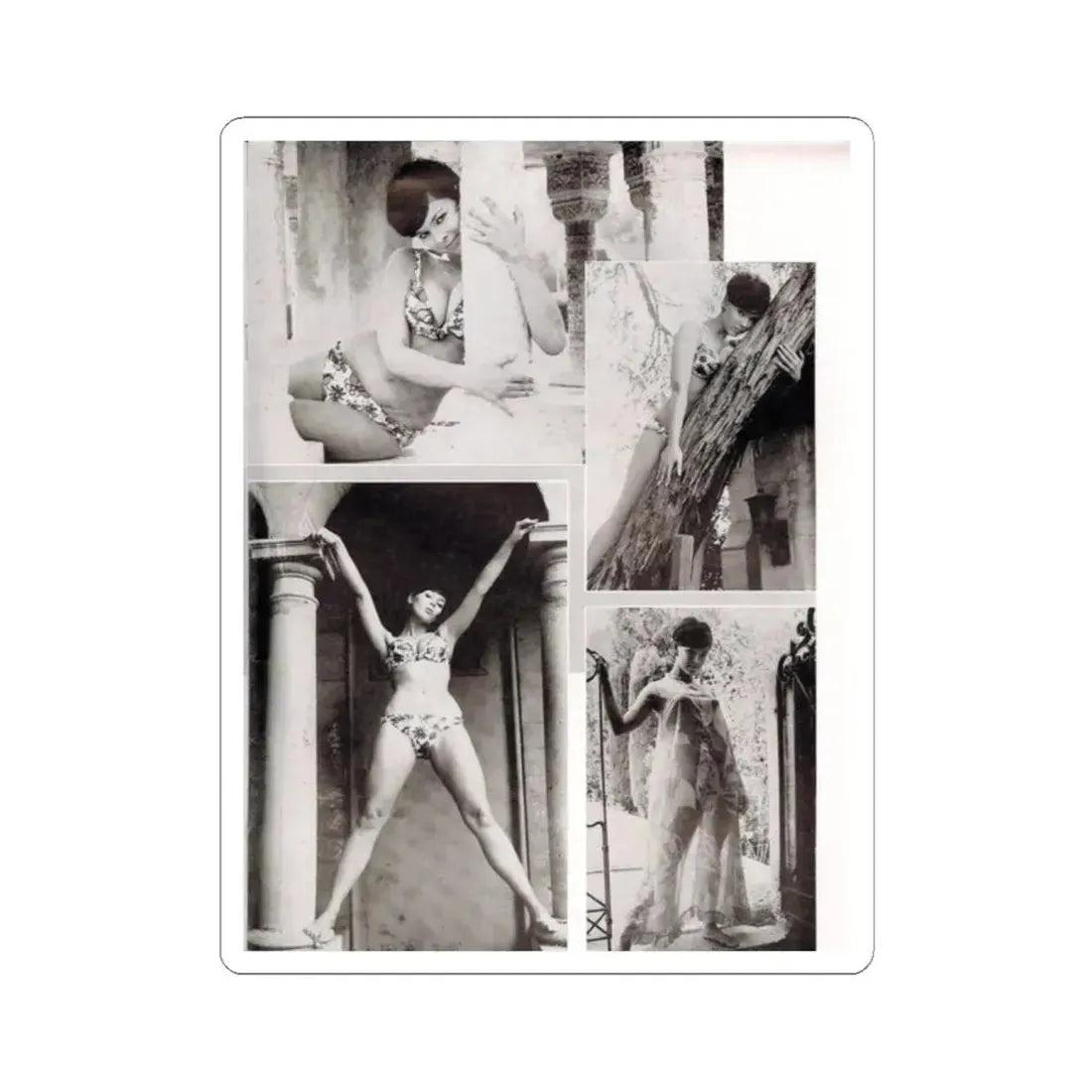 Yvonne Craig #90 (Vintage Female Icon) STICKER Vinyl Kiss-Cut Decal 2 Inch White - The Sticker Space