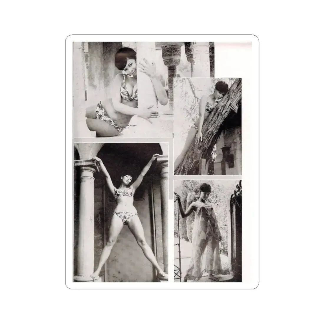 Yvonne Craig #90 (Vintage Female Icon) STICKER Vinyl Kiss-Cut Decal 3 Inch White - The Sticker Space