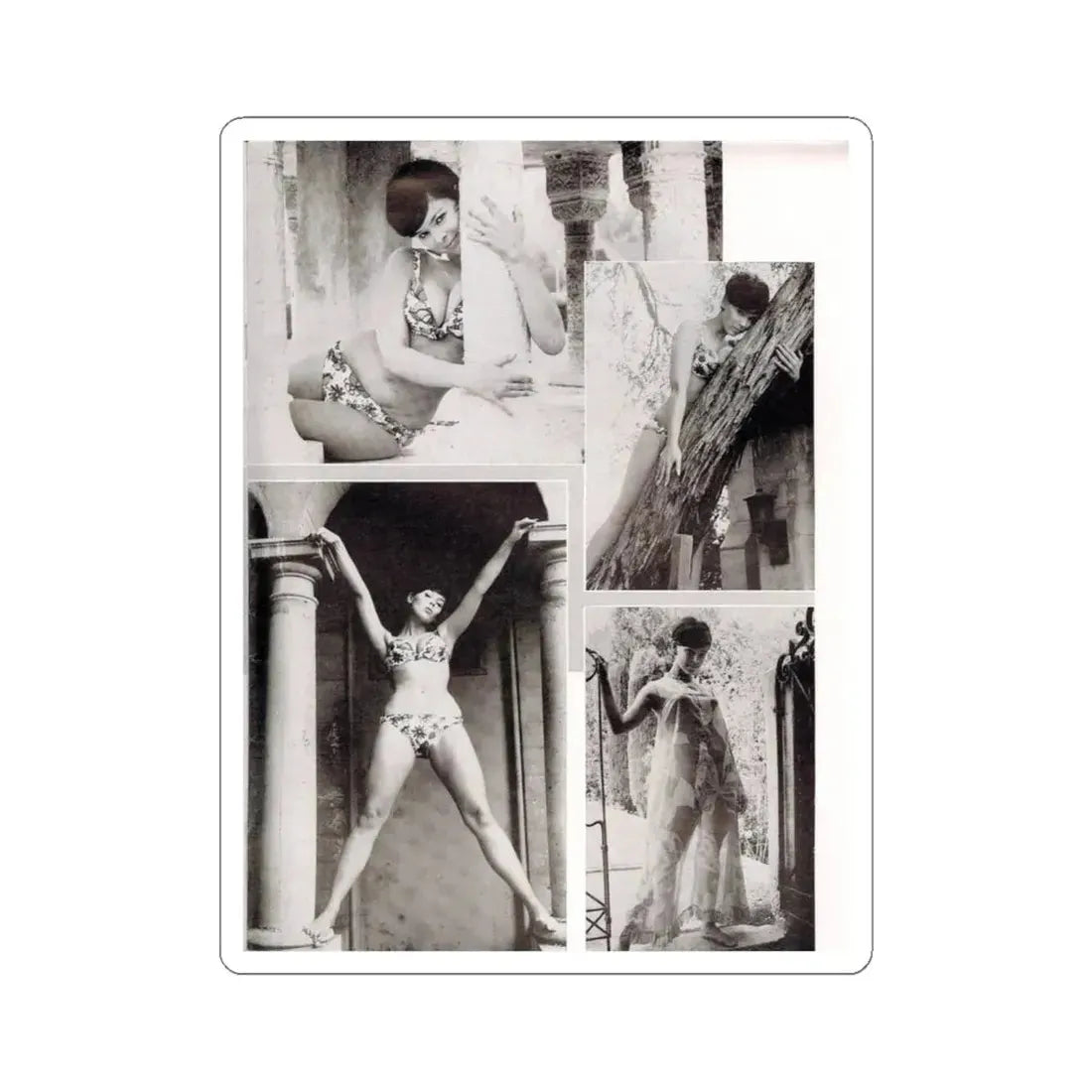 Yvonne Craig #90 (Vintage Female Icon) STICKER Vinyl Kiss-Cut Decal 6 Inch White - The Sticker Space