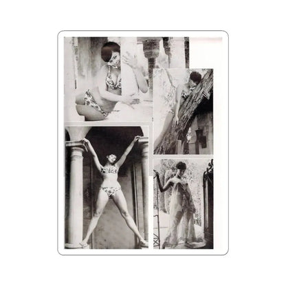 Yvonne Craig #90 (Vintage Female Icon) STICKER Vinyl Kiss-Cut Decal 6 Inch White - The Sticker Space