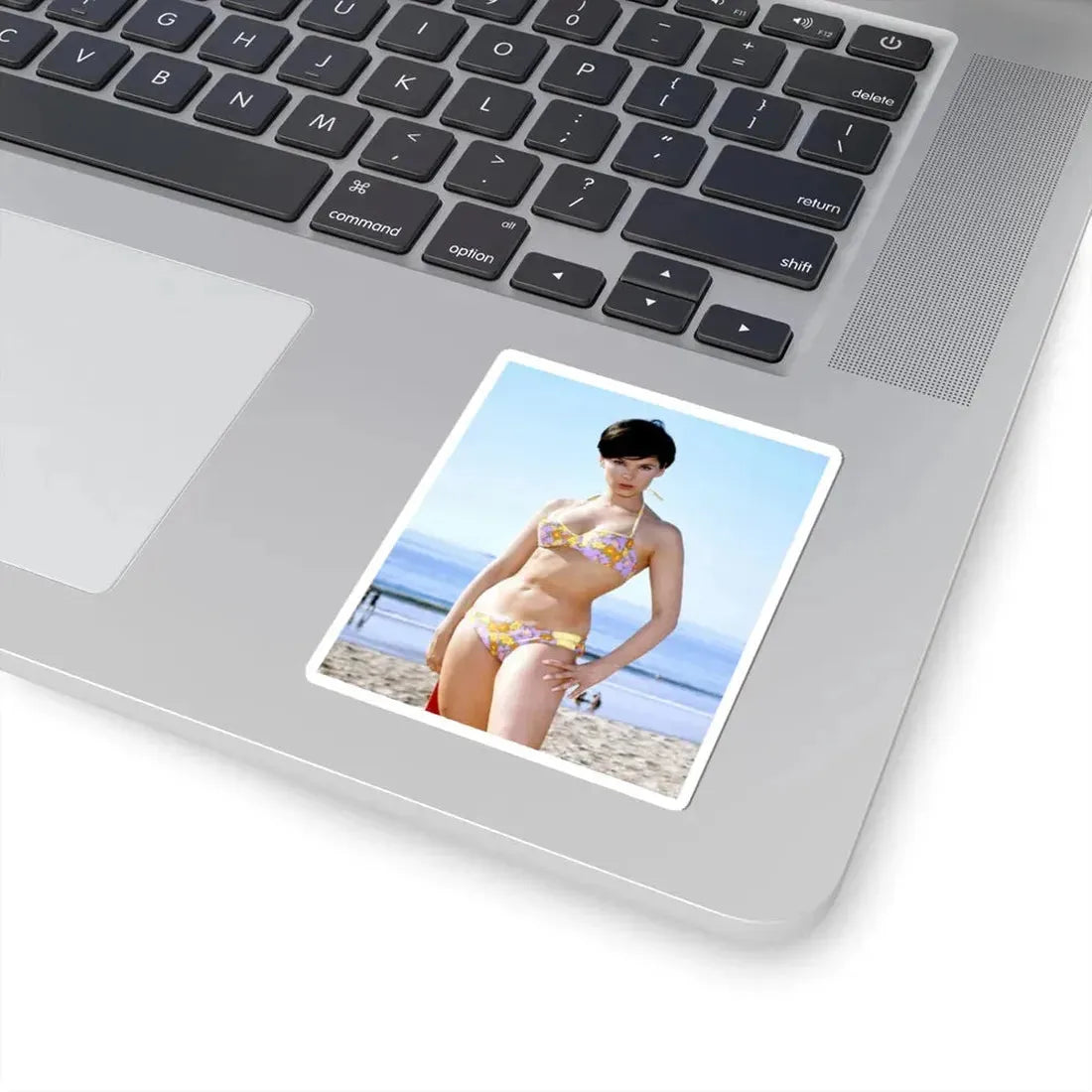 Yvonne Craig #98 (Vintage Female Icon) STICKER Vinyl Kiss-Cut Decal - The Sticker Space