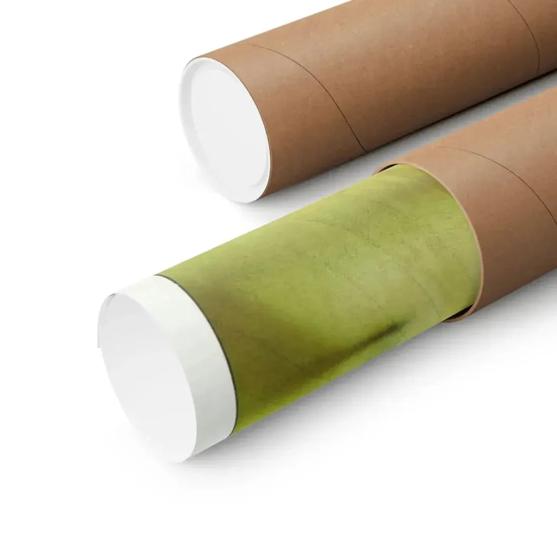 ZAPPED 1982 - Paper Movie Poster - The Sticker Space