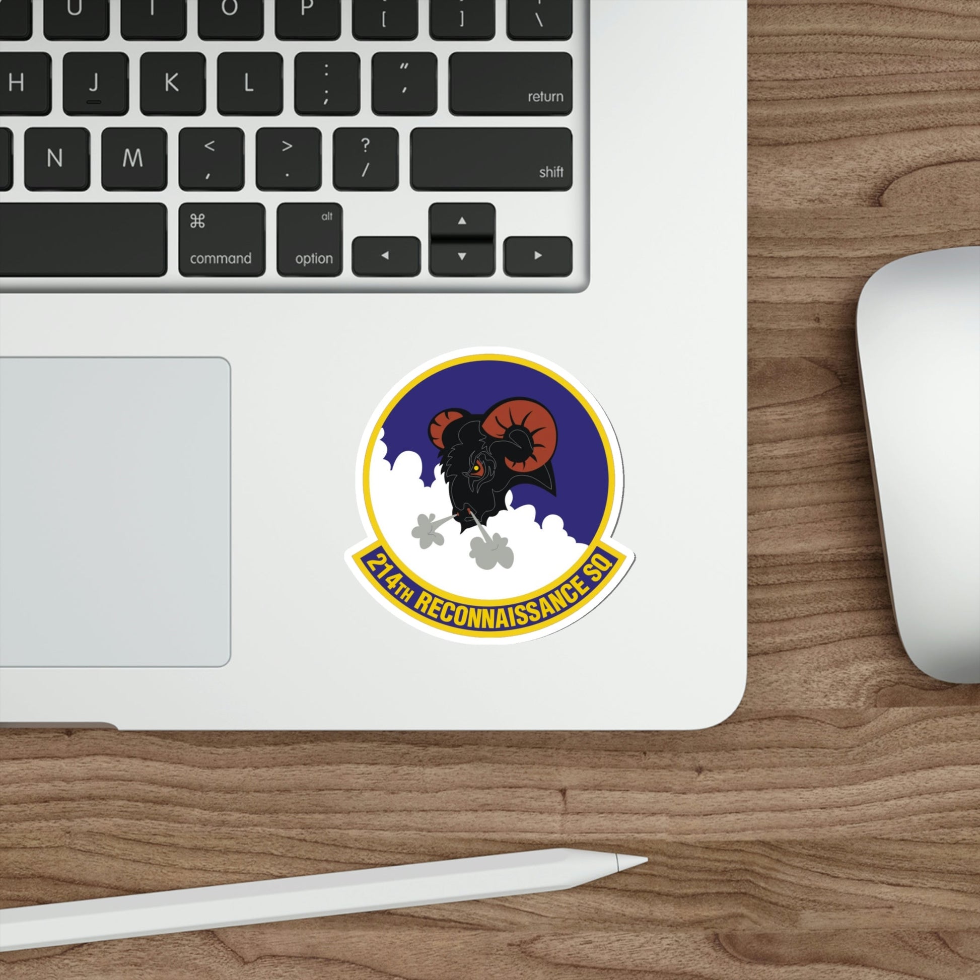 214th Reconnaissance Squadron (U.S. Air Force) STICKER Vinyl Die-Cut Decal-The Sticker Space