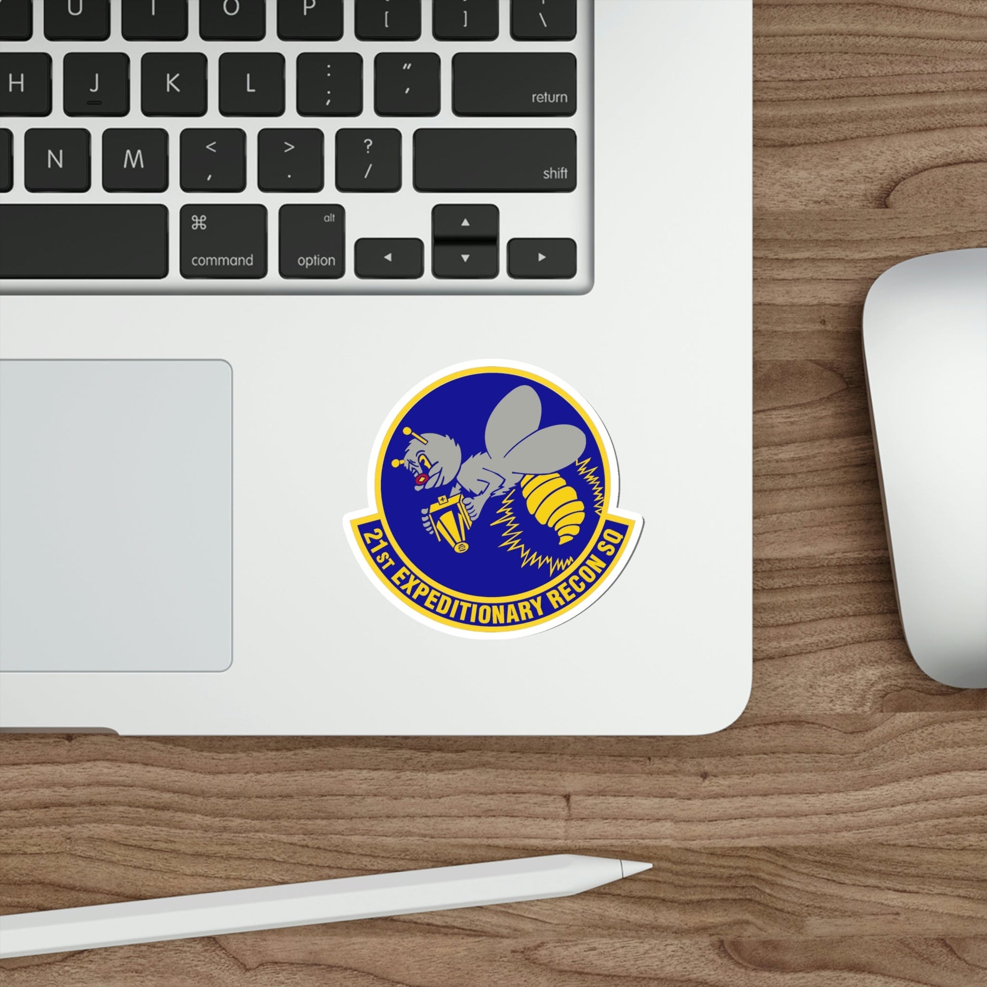 21st Expeditionary Reconnaissance Squadron (U.S. Air Force) STICKER Vinyl Die-Cut Decal-The Sticker Space