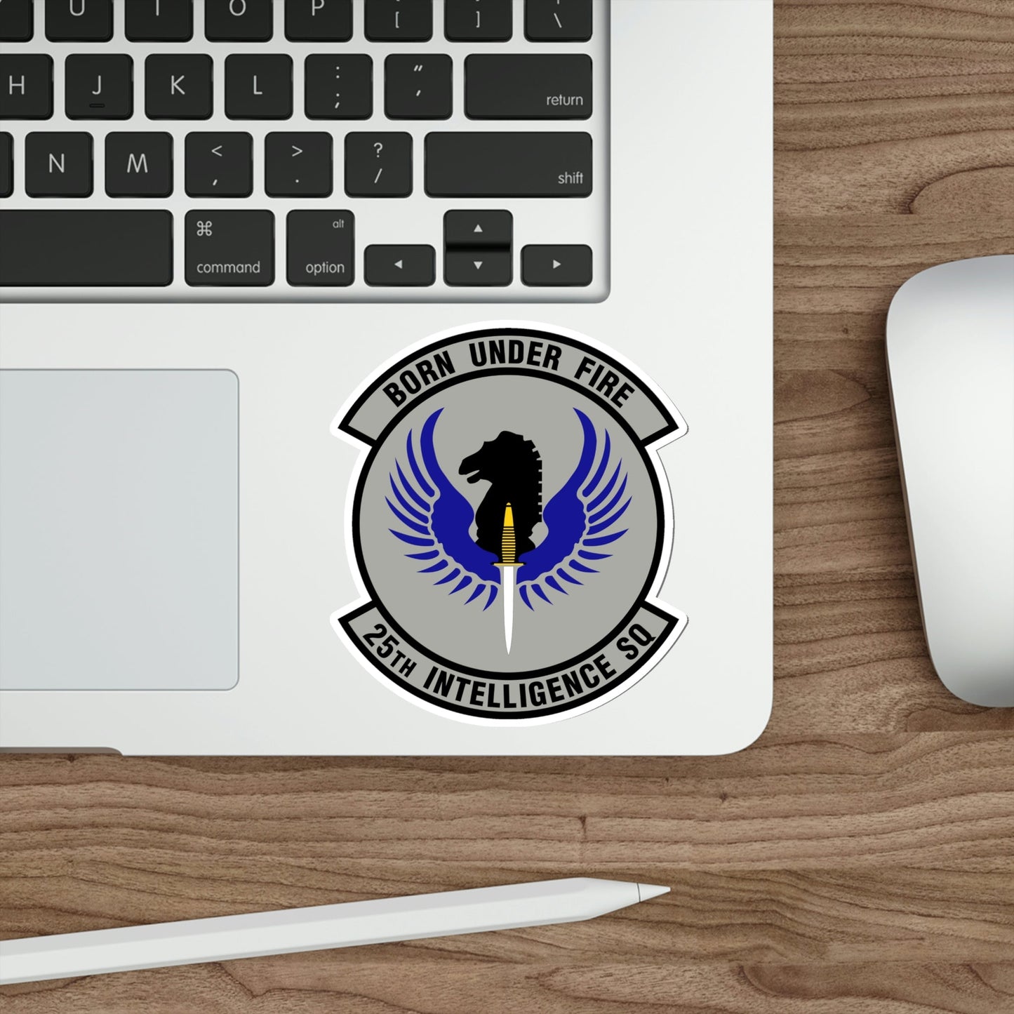 25 Intelligence Squadron AFISRA (U.S. Air Force) STICKER Vinyl Die-Cut Decal-The Sticker Space