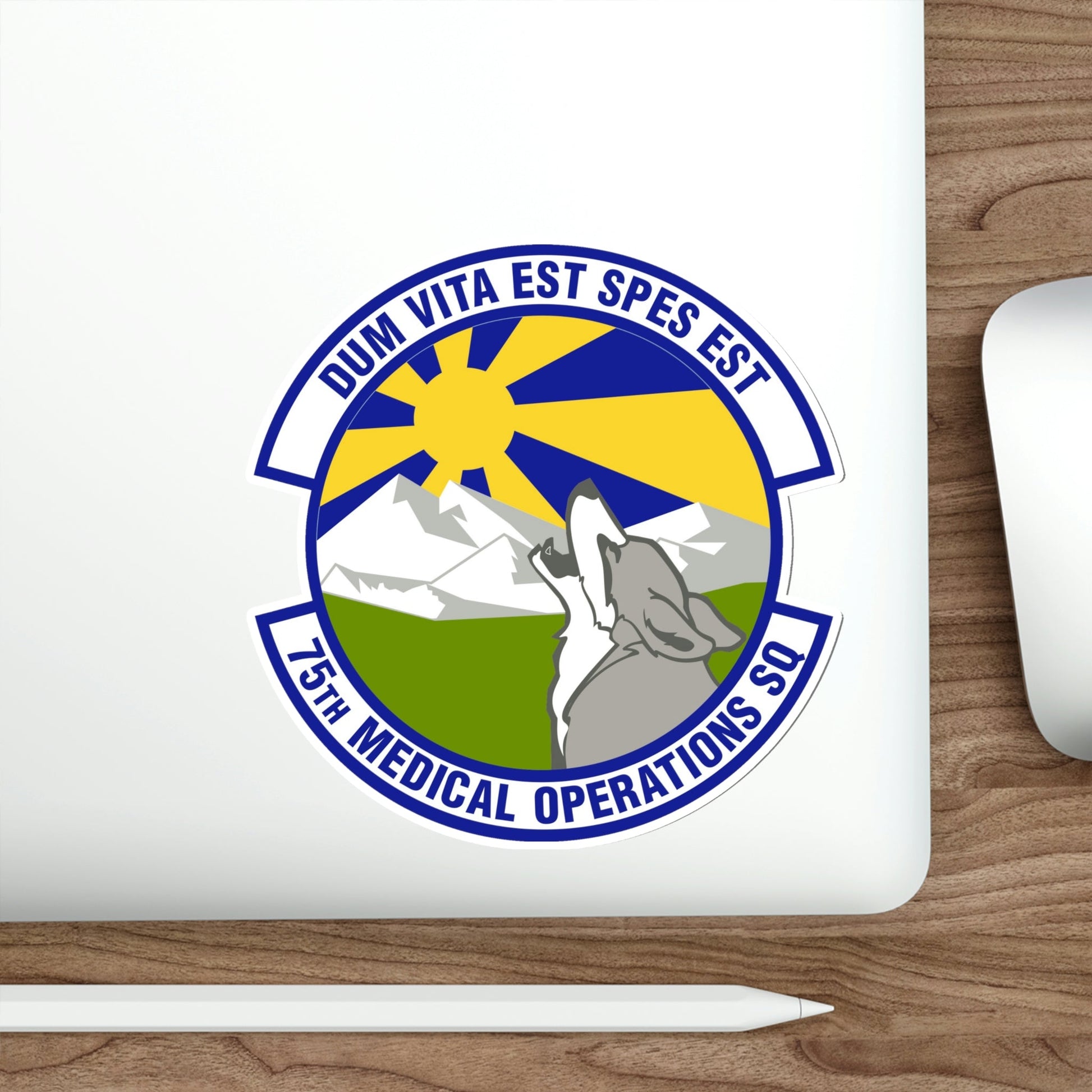 75th Medical Operations Squadron (U.S. Air Force) STICKER Vinyl Die-Cut Decal-The Sticker Space