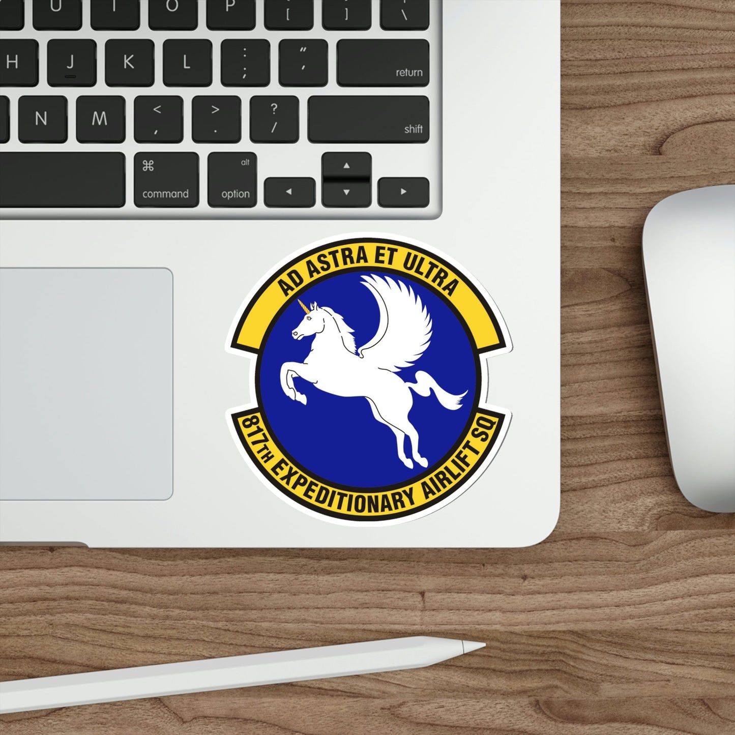 817th Expeditionary Airlift Squadron (U.S. Air Force) STICKER Vinyl Die-Cut Decal-The Sticker Space