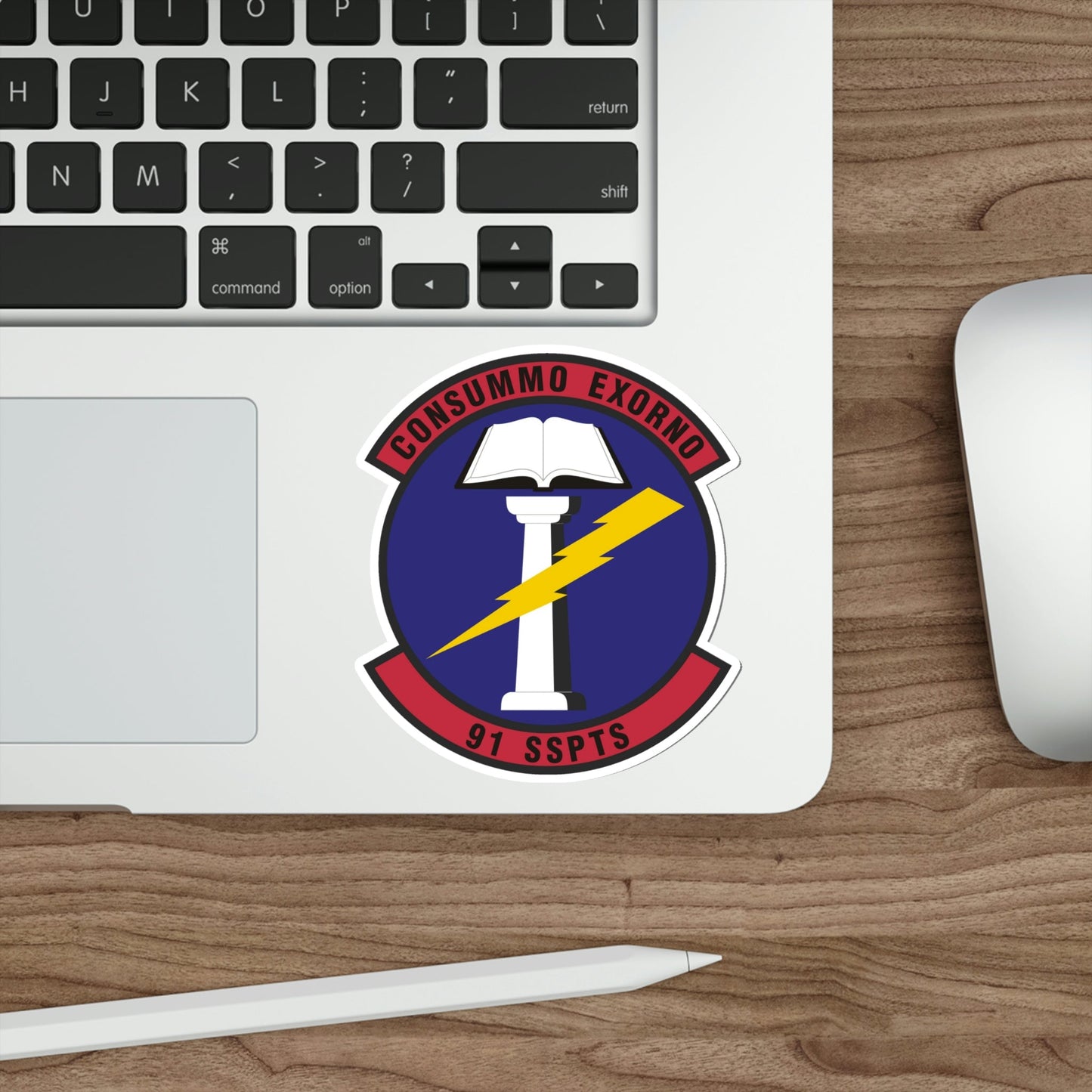 91st Security Support Squadron (U.S. Air Force) STICKER Vinyl Die-Cut Decal-The Sticker Space