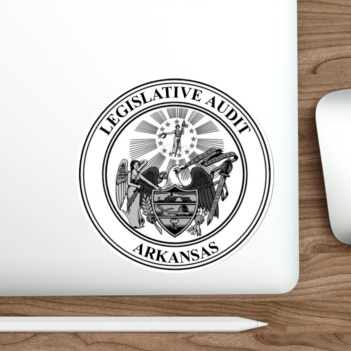 Arkansas Legislative Audit STICKER Vinyl Die-Cut Decal-The Sticker Space