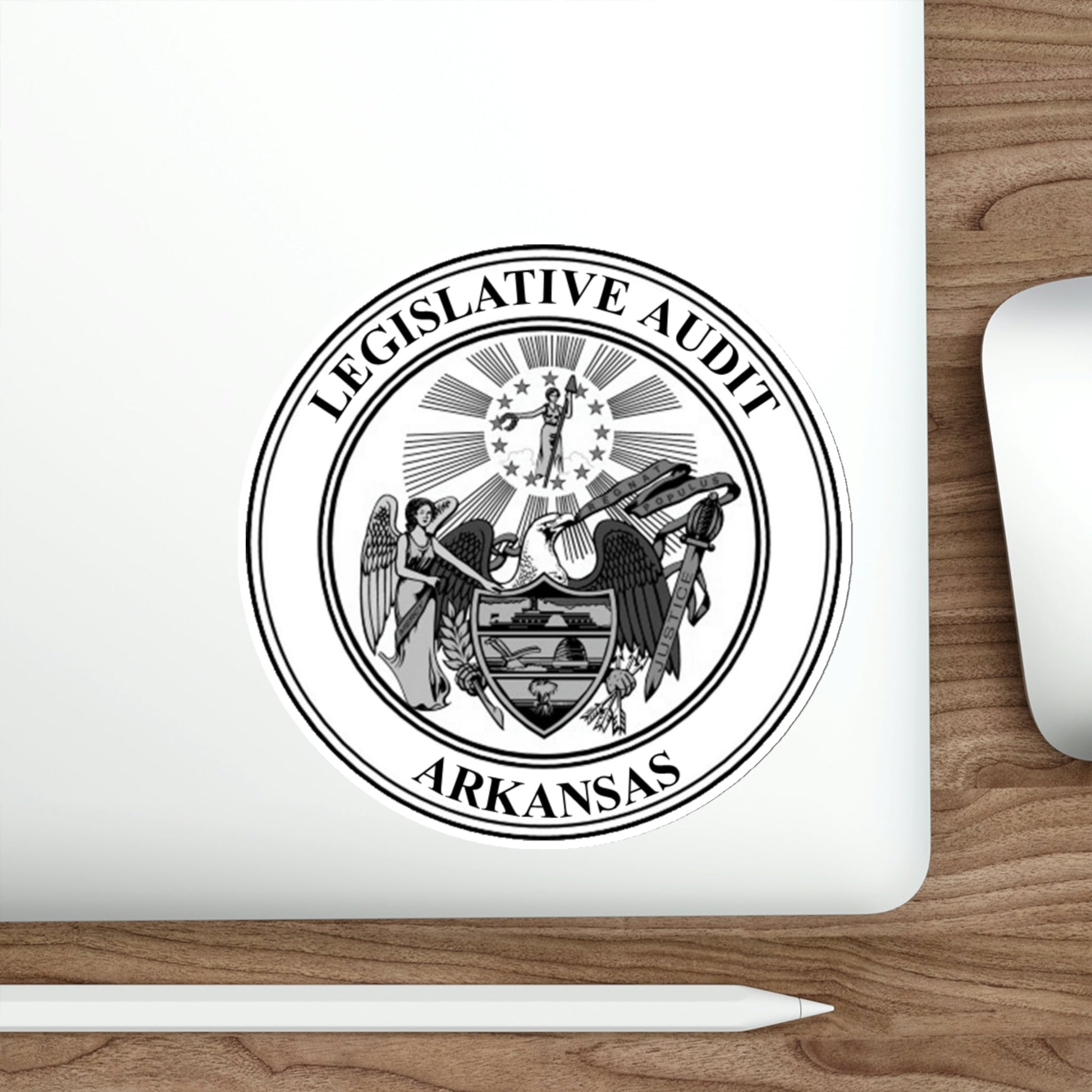 Arkansas Legislative Audit STICKER Vinyl Die-Cut Decal-The Sticker Space