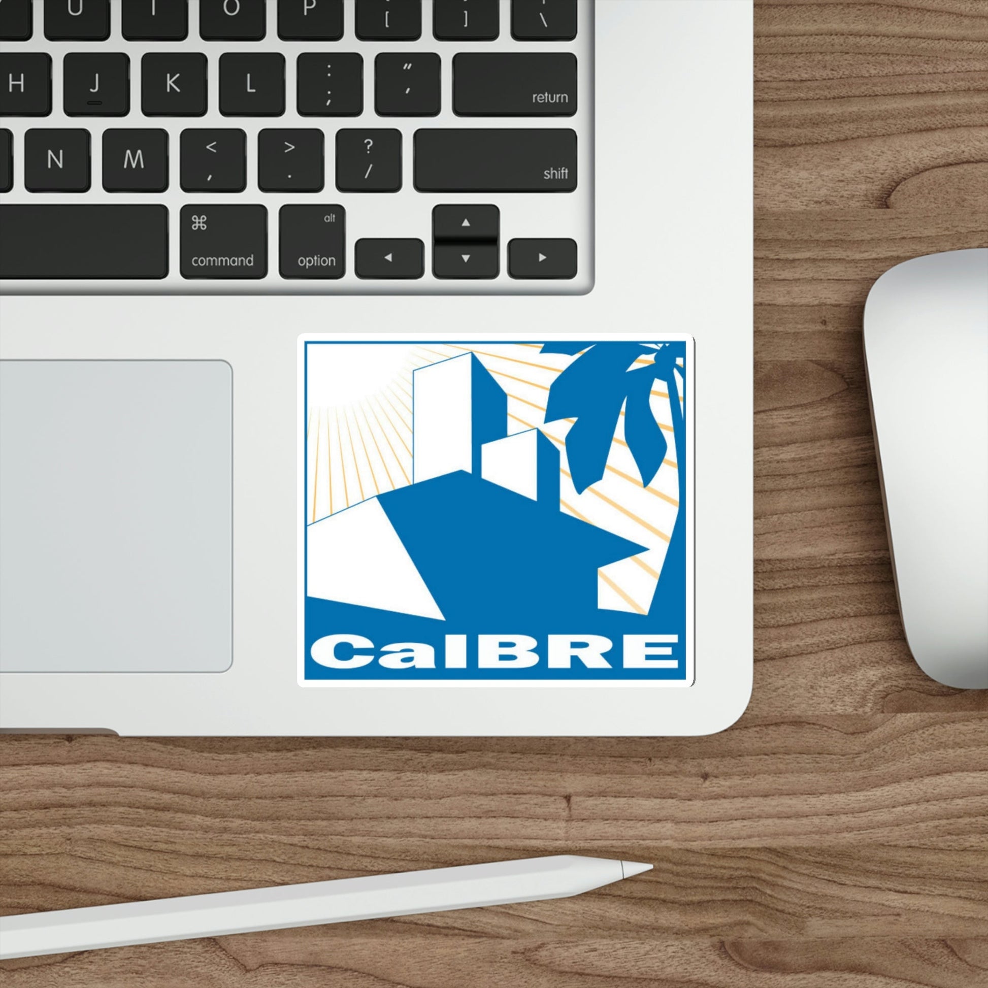 California Bureau of Real Estate STICKER Vinyl Die-Cut Decal-The Sticker Space