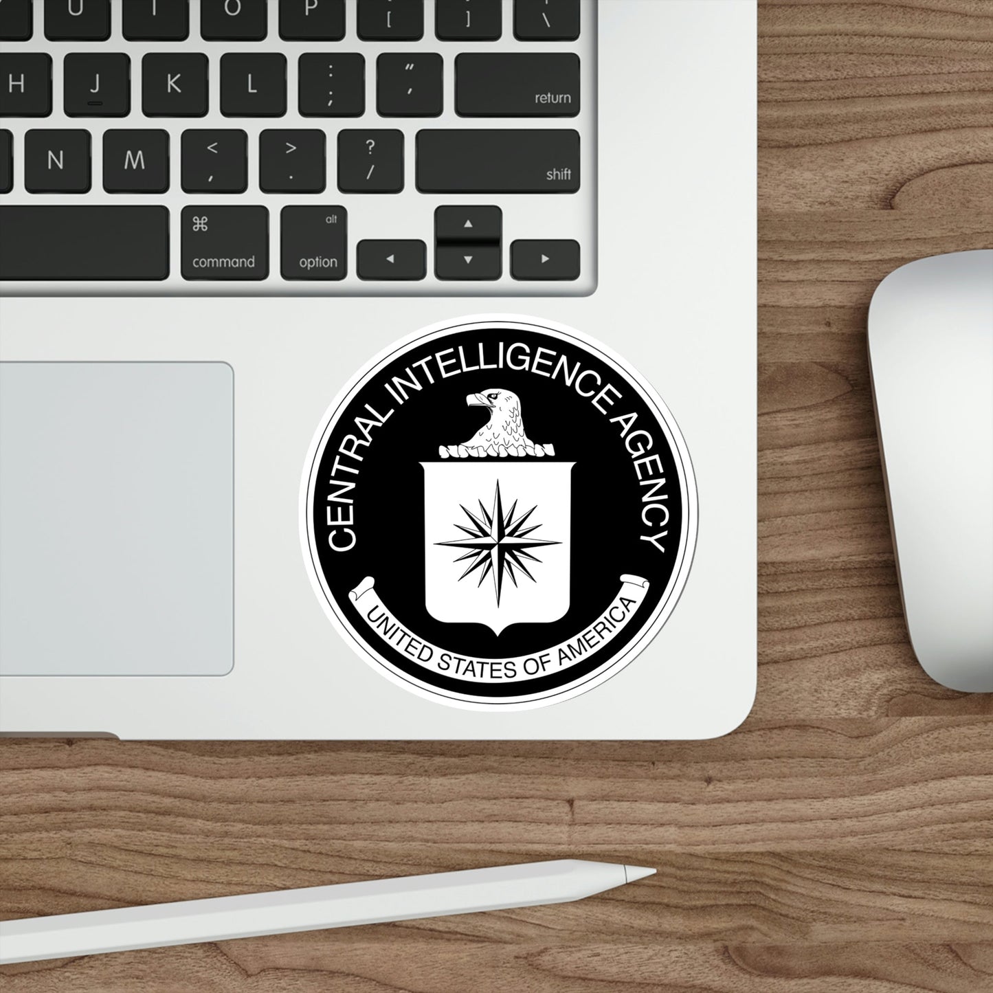 Central Intelligence Agency CIA BW STICKER Vinyl Die-Cut Decal-The Sticker Space