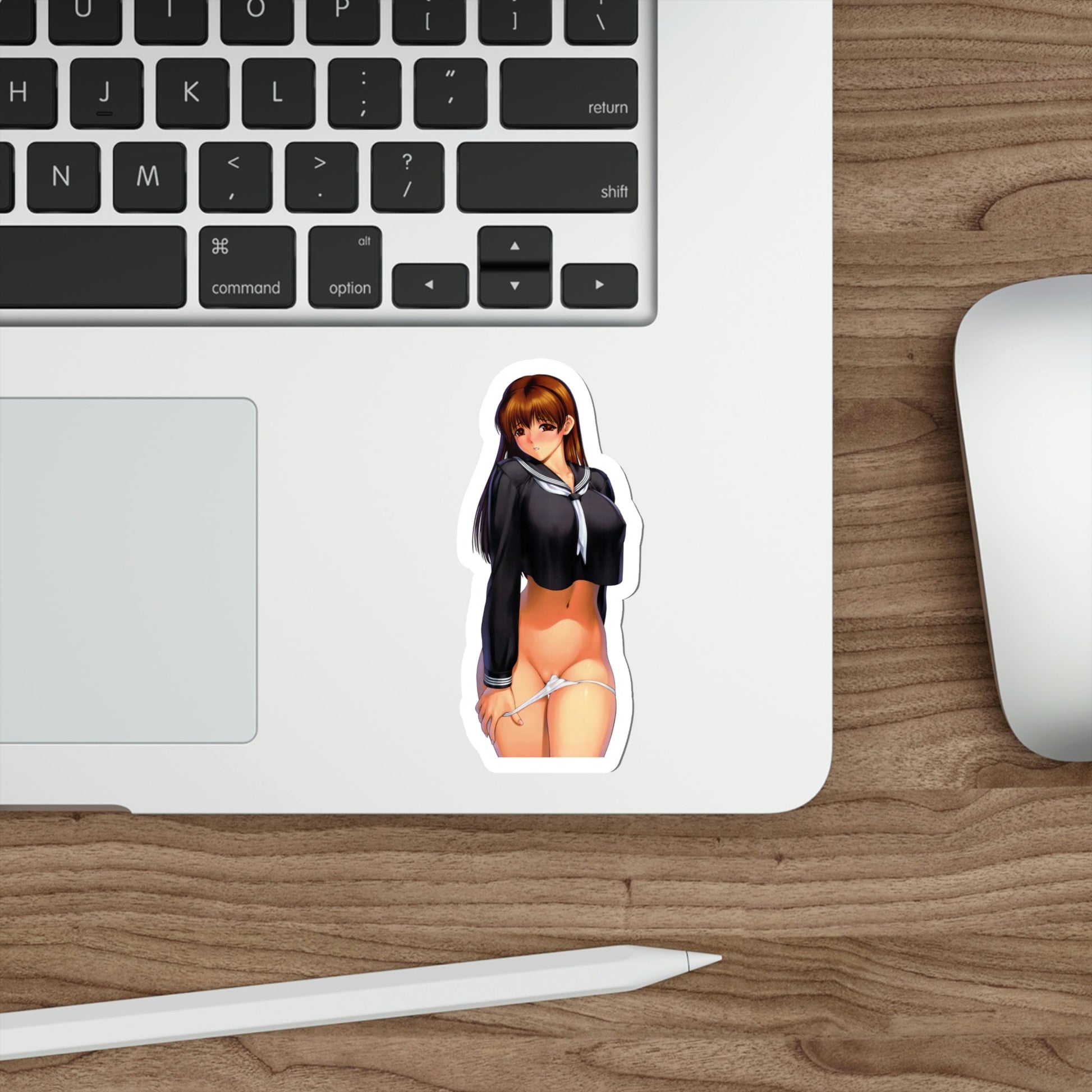 Dead or Alive - Kasumi (Anime/Ecchi/Waifu) STICKER Vinyl Die-Cut Decal-The Sticker Space