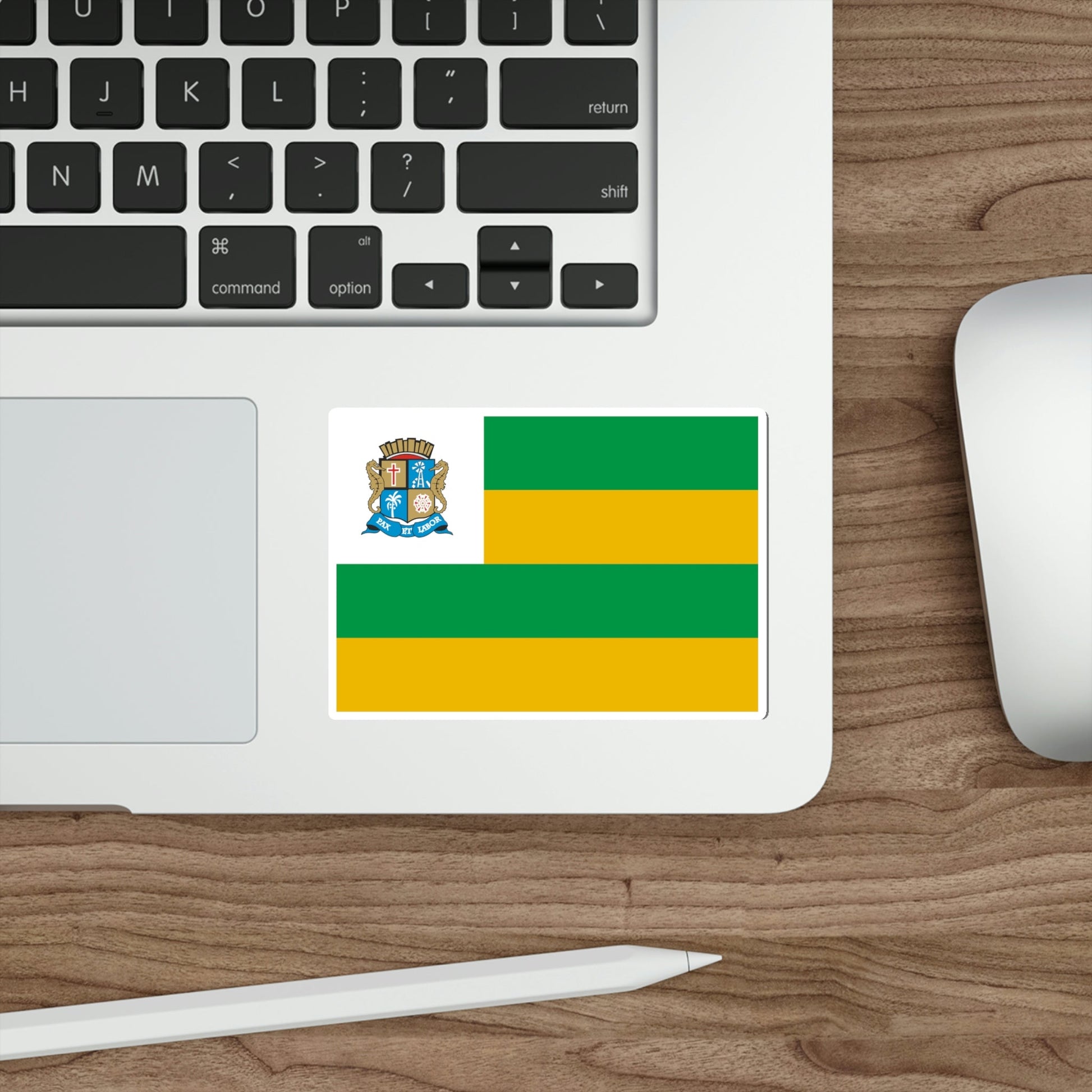 Flag of Aracaju Sergipe STICKER Vinyl Die-Cut Decal-The Sticker Space