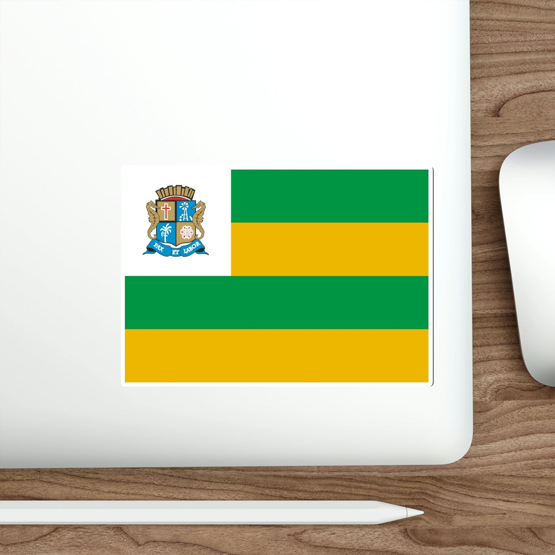 Flag of Aracaju Sergipe STICKER Vinyl Die-Cut Decal-The Sticker Space