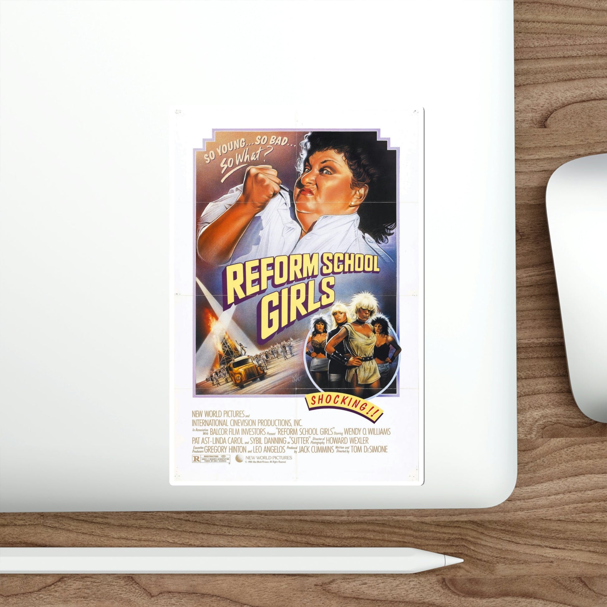 Reform School Girls 1986 Movie Poster STICKER Vinyl Die-Cut Decal-The Sticker Space