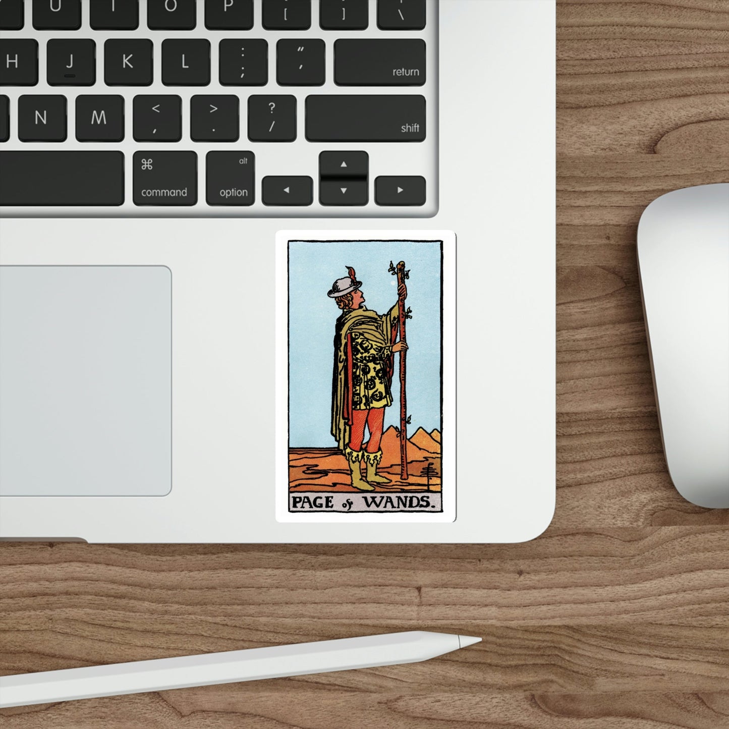 The Page of Wands (Rider Waite Tarot Deck) STICKER Vinyl Die-Cut Decal-The Sticker Space