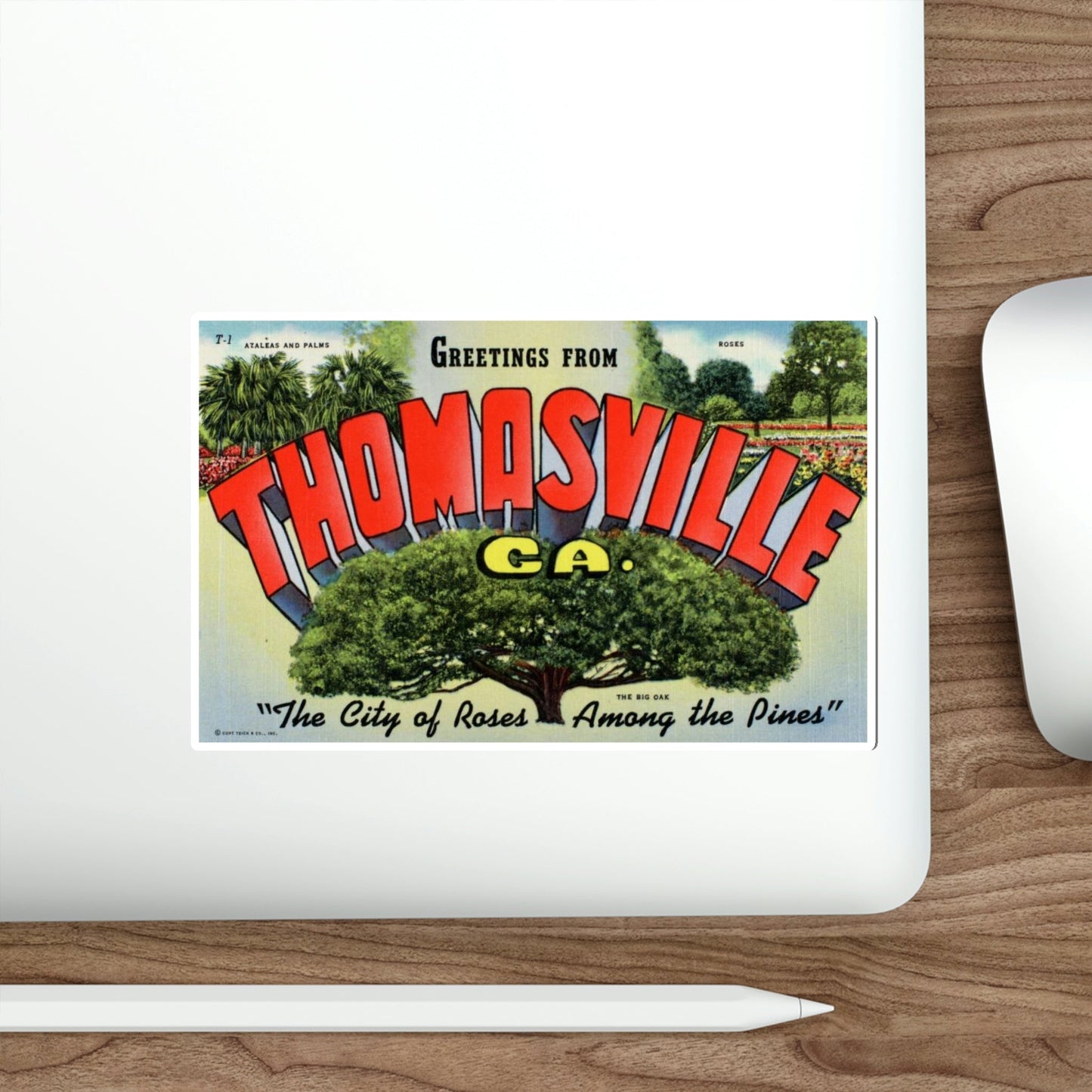 Thomasville Georgia (Greeting Cards) STICKER Vinyl Die-Cut Decal-The Sticker Space