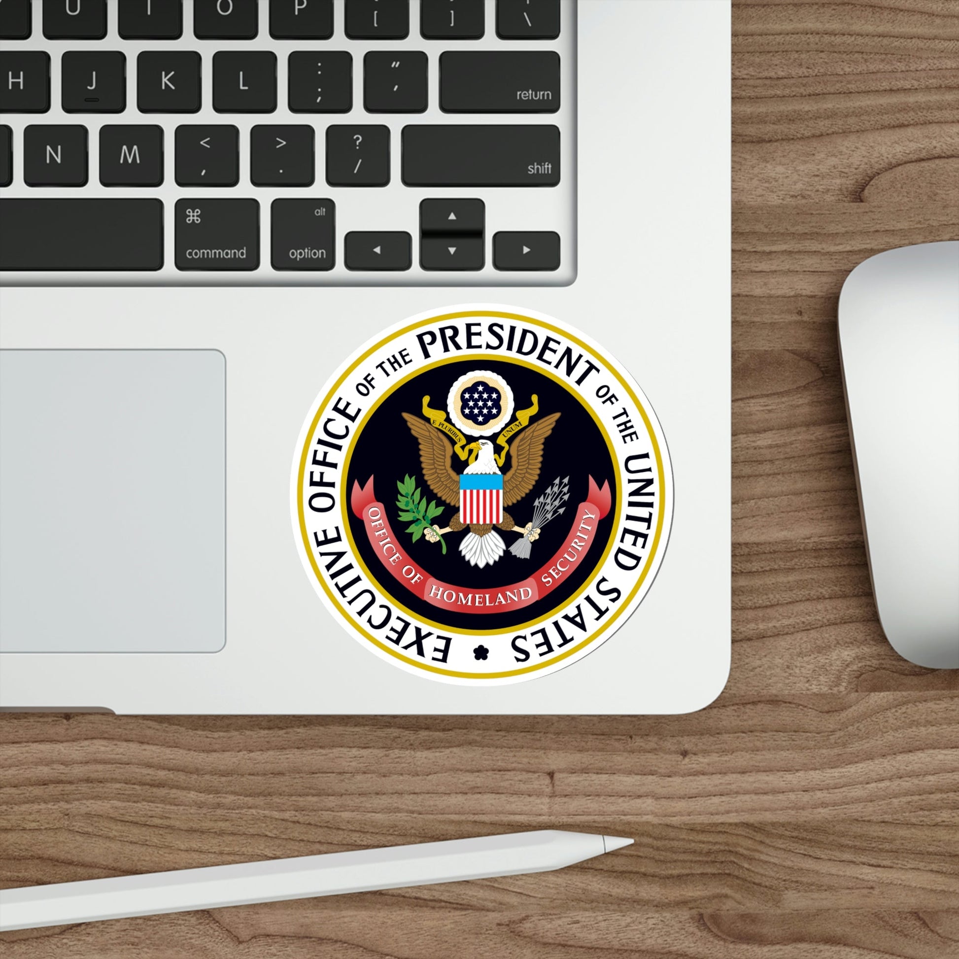 United States Office of Homeland Security STICKER Vinyl Die-Cut Decal-The Sticker Space